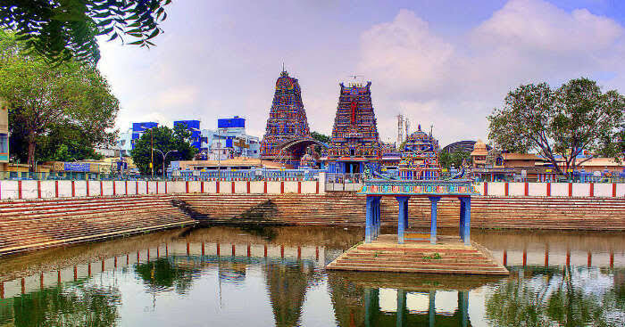 online nadi astrology in Chennai 